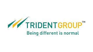 Trident Group